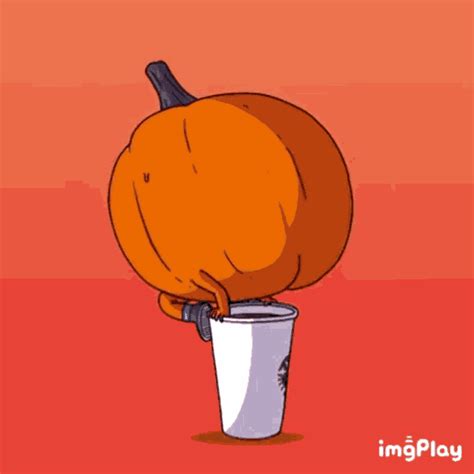 pumpkin spice gif